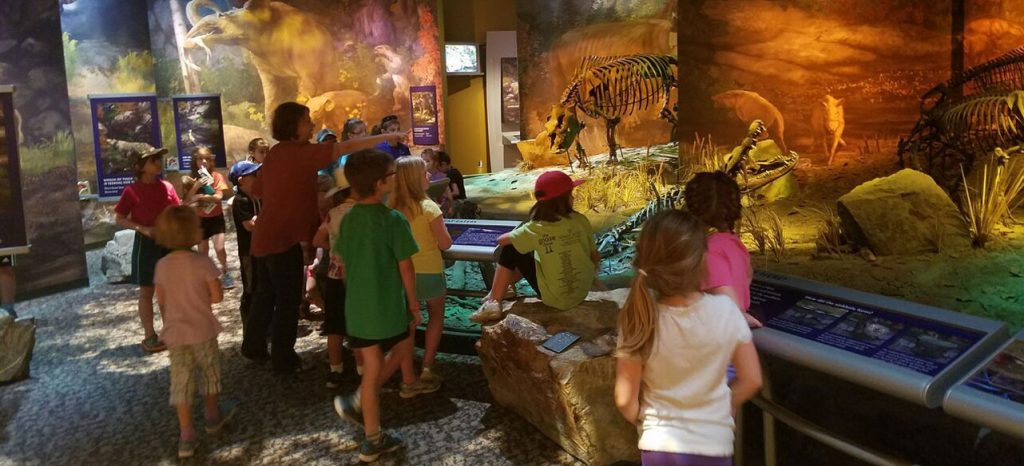 school kids and teacher going through the fossil display
