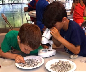 National Fossil Day Pop-In Family Workshop