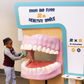 Brush & Floss Exhibit