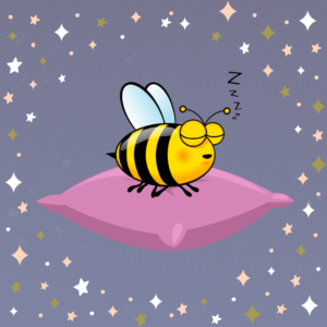 Discovery Garden - Sleeping Bee