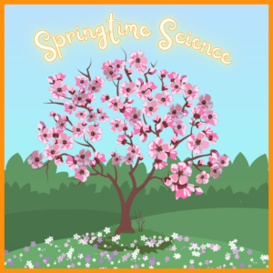 Springtime Science Discovery Lab Program